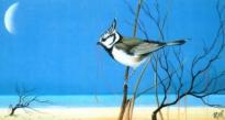 klick und gro�