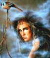 klick und gro�