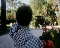 Picknick am Valentinstag 28