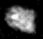 Nereid