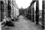 Seleukia