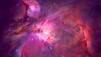  Vorwort 