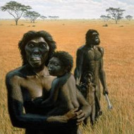 Australopithecus