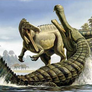Krokodil